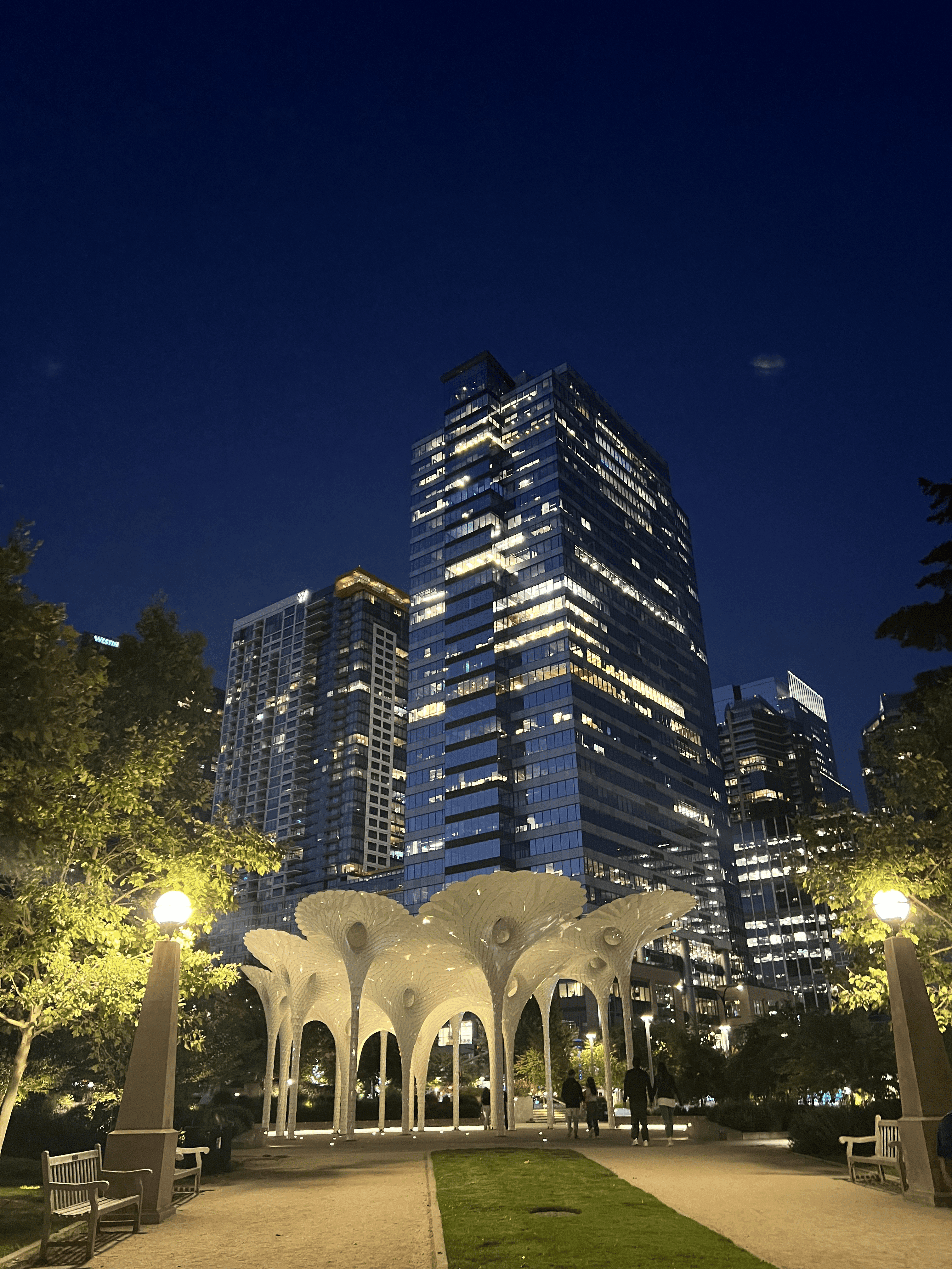 Bellevue